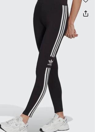 Лосины adidas trefoil tights ib73052 фото