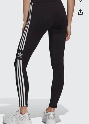 Легінси  adidas trefoil tights black ib7305