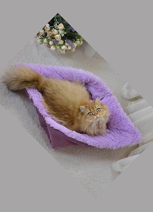 Ліжачок трансформер