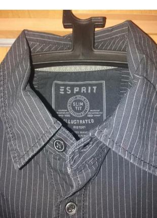 Esprit.p.s.m.1 фото