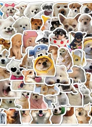 Набор стикеров dogs, мемы с собаками 10 шт
