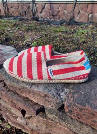 Сліпони toms