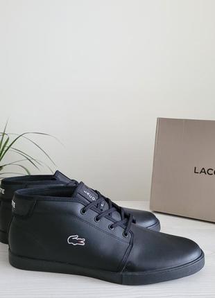 Кеді високі шкіряні оригінал lacoste ampthill рр.47

2499