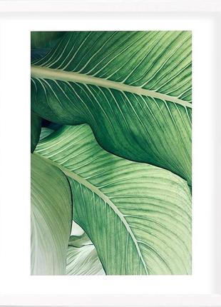 Фоторамка 30x40 см - колір білий, дерев'яна, з акриловим склом .уцінка