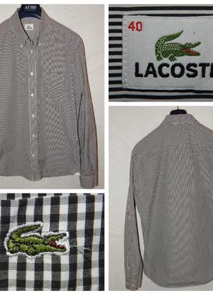 Бавовняна сорочка в дрібну карту lacoste