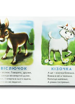 Книга для малышей. кто это? утенок (формат а4) (на украинском языке)2 фото
