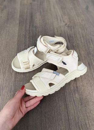 Сандалии кожаные оригинал ecco exowrap 811803 гг.363 фото