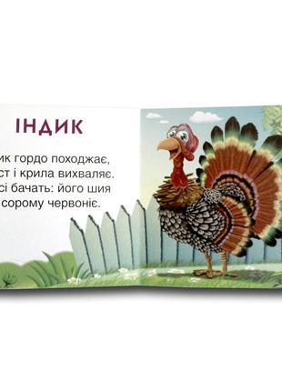 Книга-картона. ктосики раз-с (формат а-6) (на украинском языке)2 фото