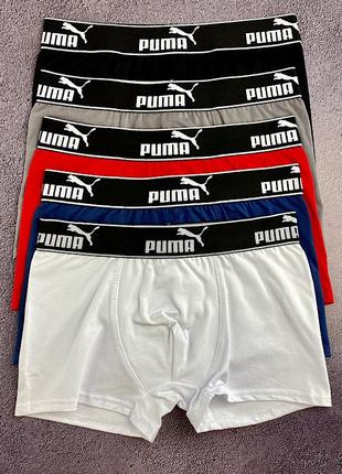 Мужской набор трусов боксеров puma 3 штуки качественные брендовые трусы боксеры пума в подарочной коробке5 фото