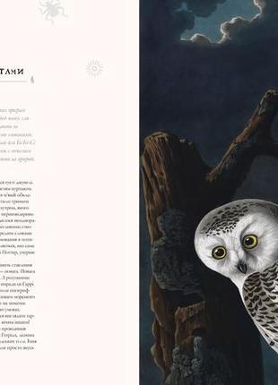 Книга гарри поттер история магии иллюстрированная джоан роулинг (на украинском языке)4 фото