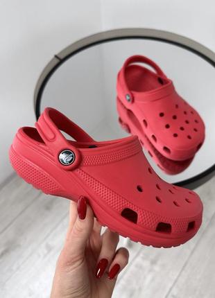 Яркие классические кроксы crocs2 фото