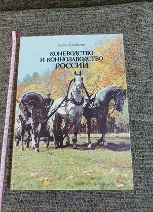 Книга справочник о лошадях