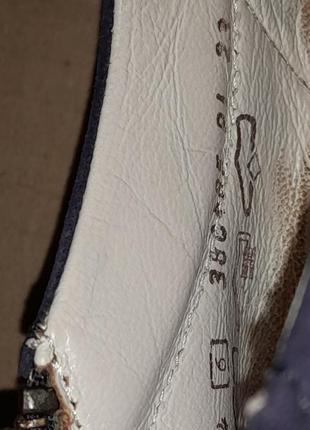 Снікери туфлі замшеві на шнурках із змійками gabor р 38