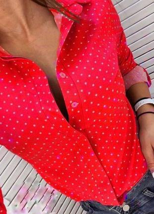 Базовая женская блуза в горошек1 фото
