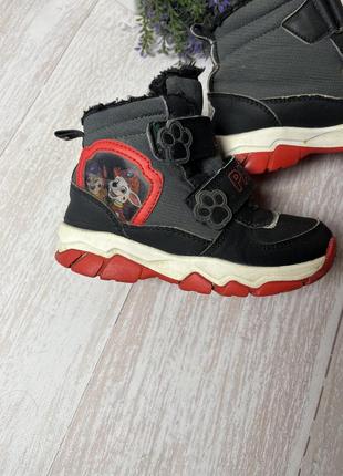 Ботінки paw patrol