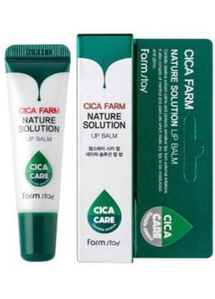 Відновлювальний бальзам для губ з центелою азіатською farmstay cica farm nature solution lip balm, 11 фото