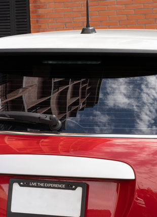 Наклейка вінілова декоративна на автомобіль кольорова "мопс. зображення собаки на задньому склі авто3 фото