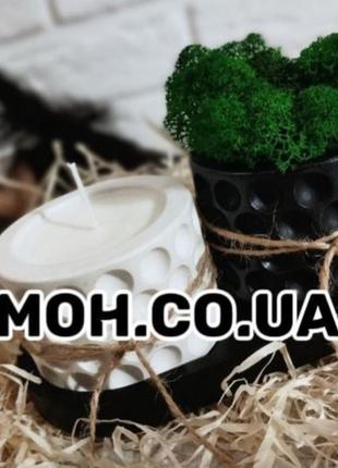 Кашпо с стабилизированным мохом. аромосвечи