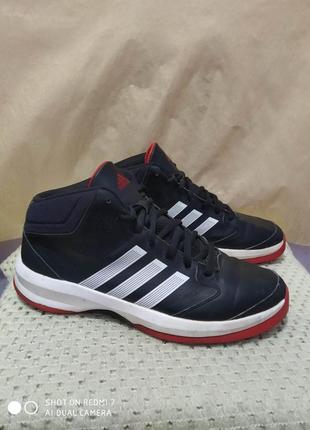 Кроссовки adidas