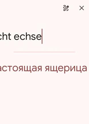 Гемания! ремень из кожи ящерицы6 фото