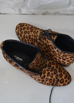 🐆 ‼леопардові черевики виглядають стильно та дорого ‼ 💄 38/ 25 см4 фото