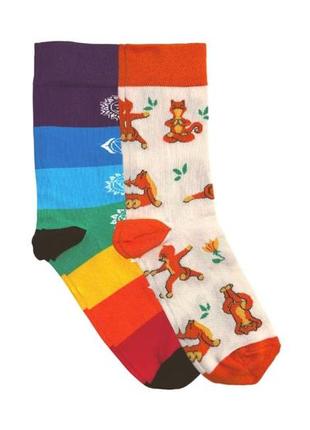 Набір шкарпеток rao socks 7 чакр + котики 2 пари (39-41)