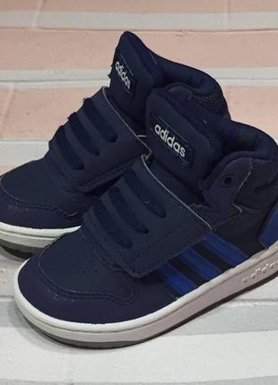 Кросівки adidas neo 23р3 фото