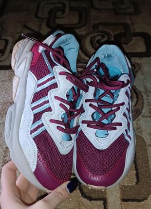 Кросівки adidas ozweego bordo/blue