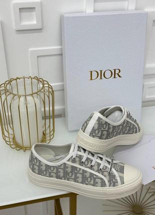 Кеди dior4 фото