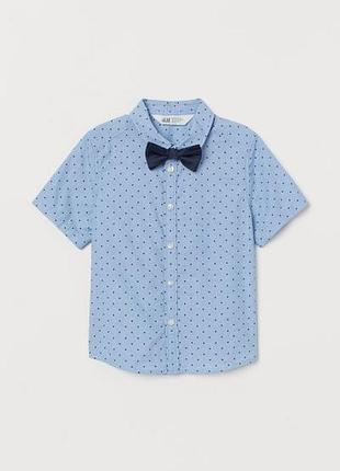 Теніска з метеликом хлопчикові 8/9, 9/10 років від h&m