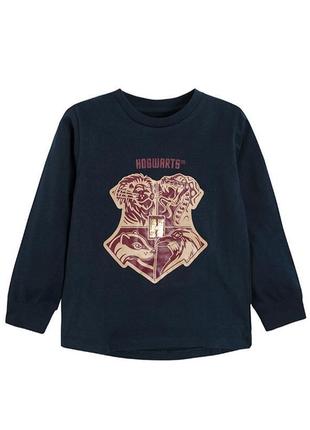 Кофта, реглан, світшот cool club колекція harry potter.