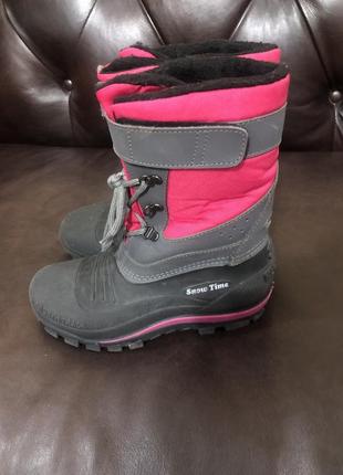 Сапожки проректоров