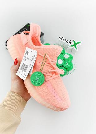 Кросівки adidas yeezy boost 350 pink кроссовки