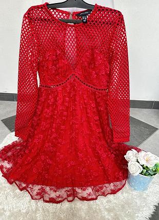 Плаття в сіточку, з мереживом new look
