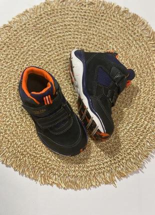 Черевики, хайтопи для хлопчика