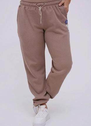 Штани жіночі