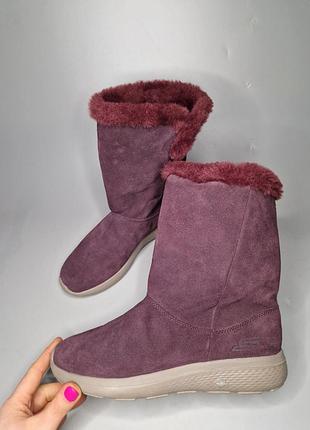 Теплые сапоги skechers gogamat