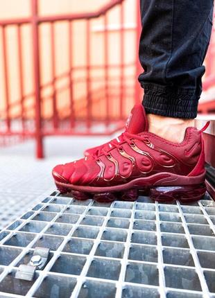 Кроссовки  nike air vapormax plus "bordo"