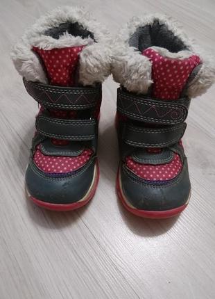 Зимние ботинки для девочки , 25 размер, cortina, германия1 фото