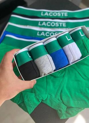 Чоловічі труси lacoste 5 штук бавовна | набір трусів. труси лакоста чоловіча білизна2 фото