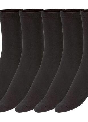 Набор женских носков esmara