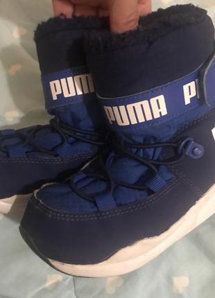 Чобітки puma оригінал3 фото