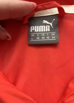 Ветровка puma4 фото