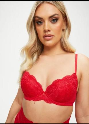 Ann summers sexy lace planet plunge bra