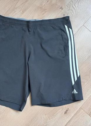 Adidas climalite шорты для тренировок, занятий спортом бега m размер оригинал