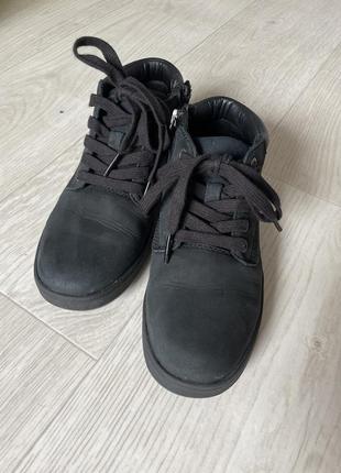 Timberland 2
