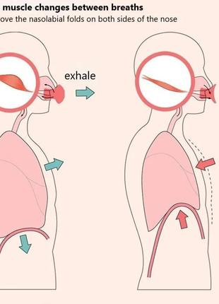 Тренажер для мышц лица дыхательный мяч эспандер для скул