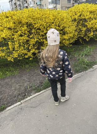 Куртка mango 5/6 116, на дівчинку мікропух, гумові чоботи, кросівки primigi, шапка mini mouse