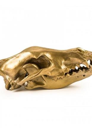 Фігура вовчий череп "diesel-wolf skull&apos; 14 x 28 х 12 см2 фото