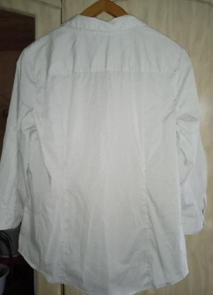 Рубашка мужская р.48-52, lila rose..3 фото